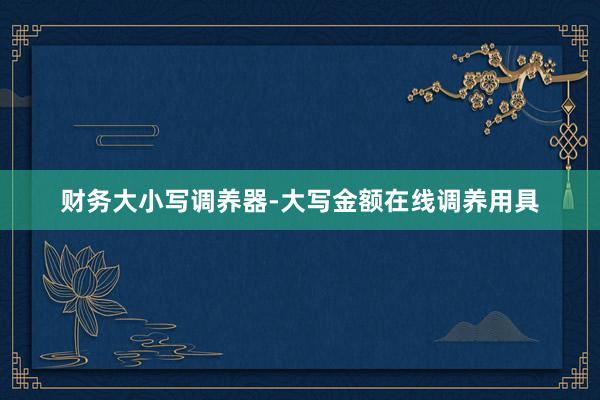 财务大小写调养器-大写金额在线调养用具