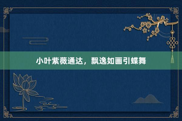 小叶紫薇通达，飘逸如画引蝶舞